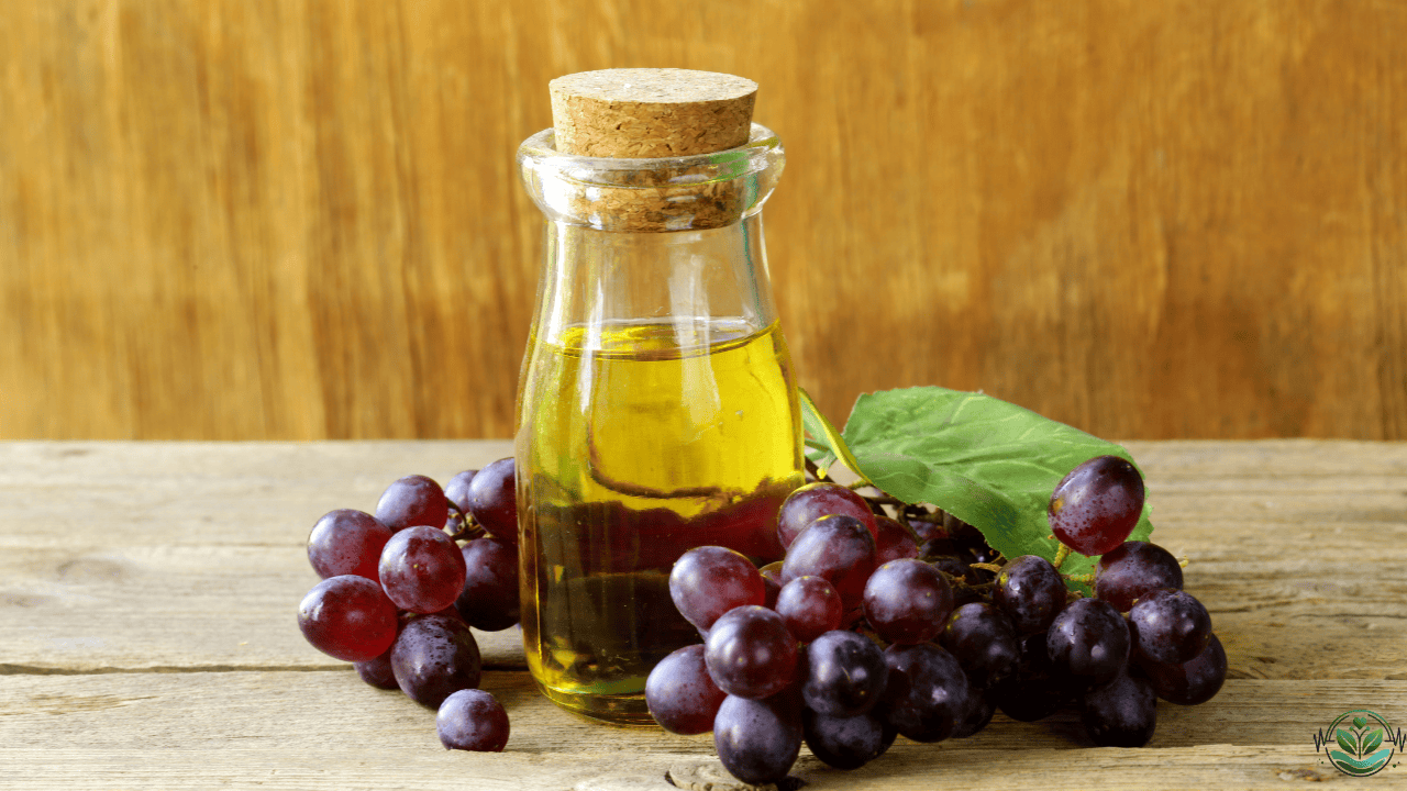 Grape Seed Extract